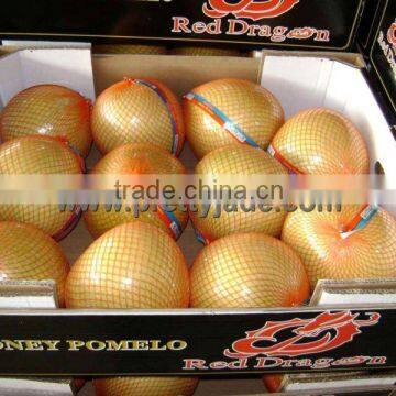 chinese honey pomelo