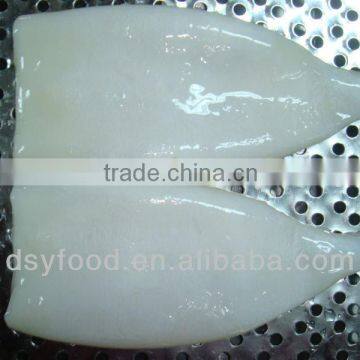 EU Standard squid tube frozen fish