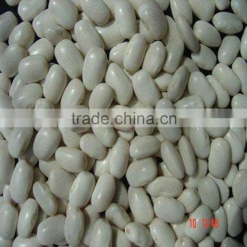 Japanese shape white kidney bean