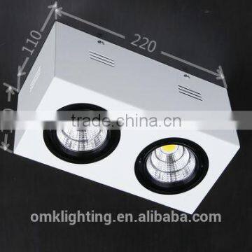 2*10W adjustable COB led surface mounted Downlight with CE&GSdriver