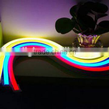 Festalight 2016 SMD5050 24V 12W/M Led Flexible RGB Neon Strip Light for Outdoor Lighting