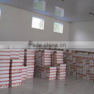 Fermentation Active Dried Yeast Powder With 15g/bag photo-5