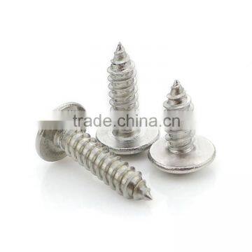 Stainless Steel Cross Flat Head Tapping Screw Thumb Head Tapping Screw photo-6