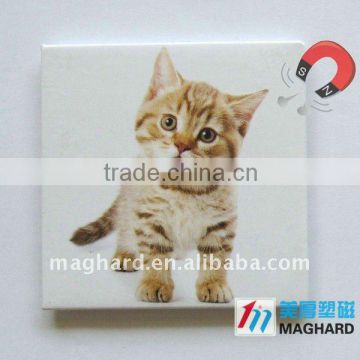 Iron Fridge Tin Magnet Tourist souvenir Cat