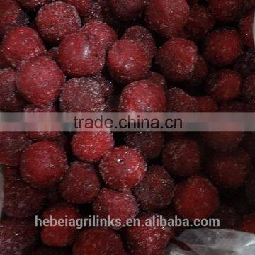 Good quality Chinese IQF style waxberry