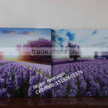 Home Wall Decorative Collage Glass Hanging Frameless Picture Frame photo-2