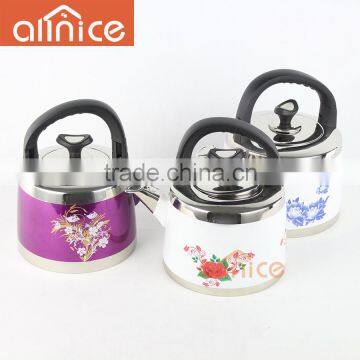 Customised Any Color Like White/purple New Design Color Painting 4L/5L Kettle With Flower Applique photo-2