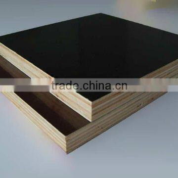 Black Brown 18mm Film Faced Fancy Poplar Plywood From Manufacturer
