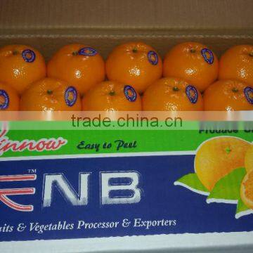 Kino kinnow Mandarin Tangerine Orange Citrus fruit from Pakistan