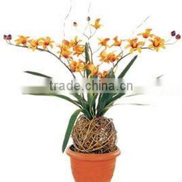 Artificial flower-Cymbidium faberi