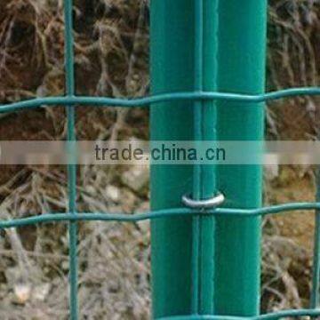 the Cheap Price Fence for Protective Tree Guard (15 Years Factory)