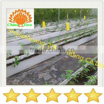 agricultural equipment vegetable plant trough /plant tray in greenhouse