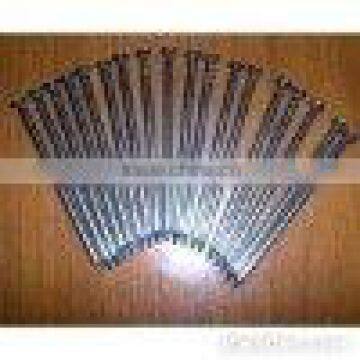 Nail/Common Nail/high Quality Common Nail