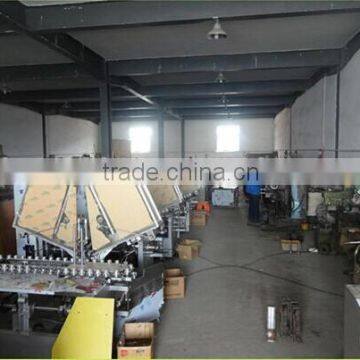 High Speed Pharma Blister Horizontal Automatic Cartoning Machine photo-6
