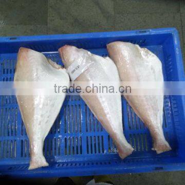 FROZEN LEATHER JACKET HGT photo-3