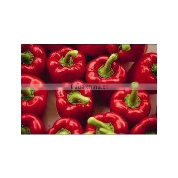 Oleoresin Capsicum Lot No : 1414