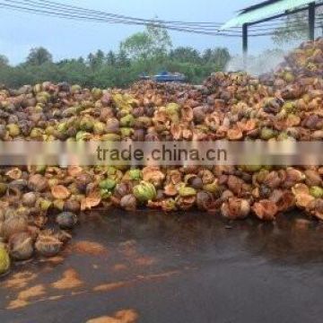 Coconut Fiber _ QQ : 2598494113 FOB : 200$ - 235$