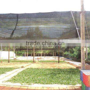 Viet Nam High Mountain Oolong Tea photo-5