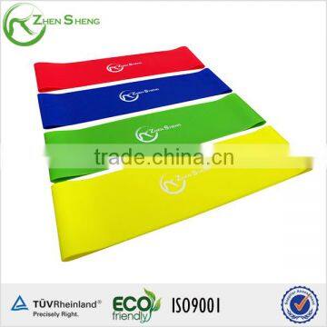 ZHENSHENG resistance loop band set