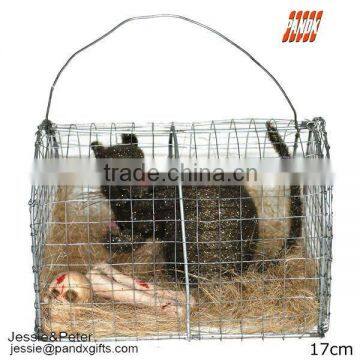 Rat in a cage with skeleton and skull for halloween