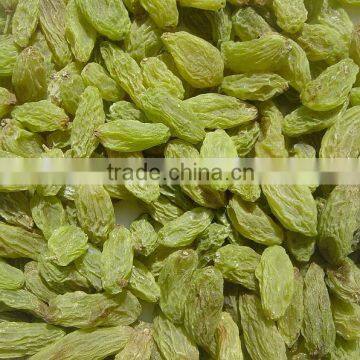 Green Raisins Sultana Raisins Green Grape Seedless Raisin Dried Fruit Snack Fruit