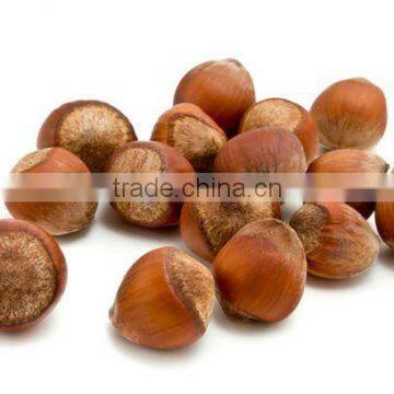 Bright color, good taste China chestnut