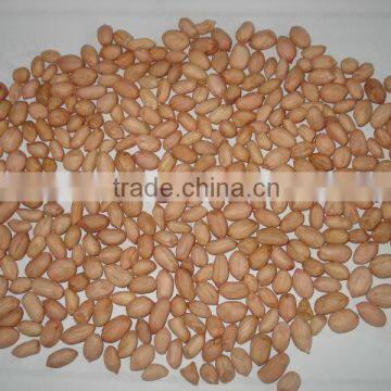 Chinese peanuts raw