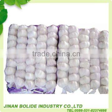 chinese natural garlic supplier