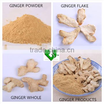 Factory Price for Dehydrated Ginger Powder