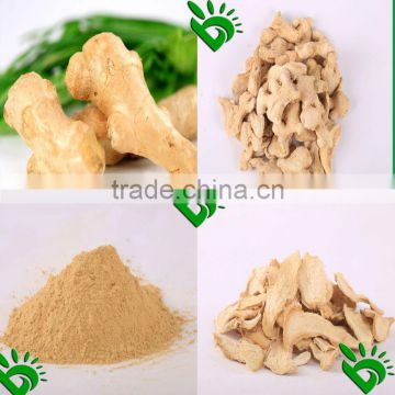 High Quality & Low Price Dehydrated Ginger Products