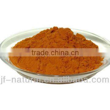 Functional powder OPC grape seed extract good quality