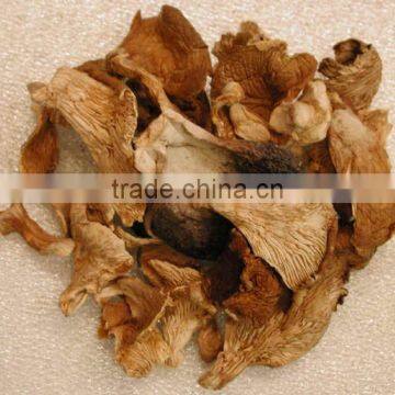 Detan Wholesale Dried Oyster Mushrooms for Customer photo-3