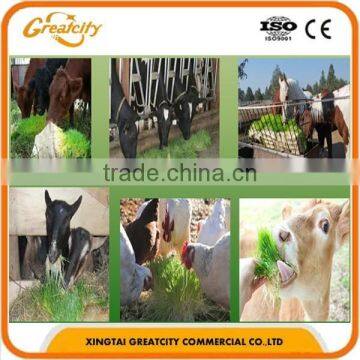 High Quliaty 1000kg Farm Hydroponic Fodder Machine photo-2