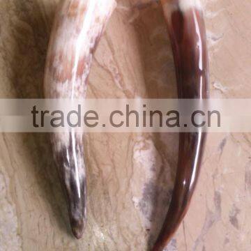 Drinking Horn photo-2