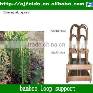 FD - 1598Garden seedlings support bar