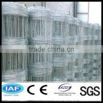 China Grassland Fence iron fence (ISO 9001)