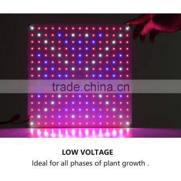 Hydroponic Growing Systems SMD Full Spectrum 45W LED Grow Panel photo-5