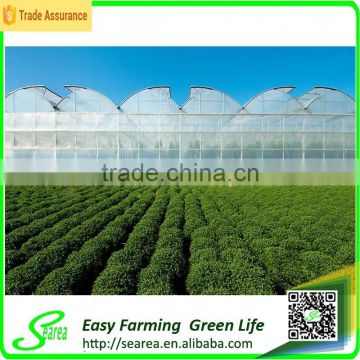 Agricultural rodent roof green house for flower