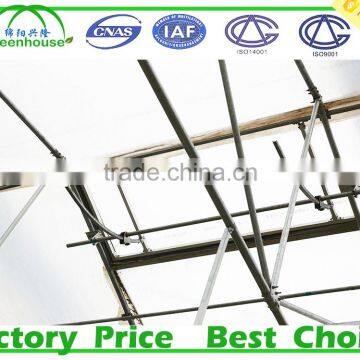 High Tech Multi Span Poly Film Agricultural Commercial Greenhouse for Sale photo-3