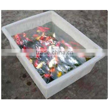 Indoor Aquoponics Hydroponics Fishing Tank With Vegetable Planter photo-4