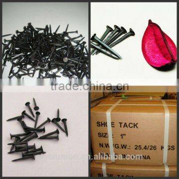 Flat Head Shoe Tacks Nails/Cheap Shoe Tack Nails/ Linyi Nails photo-5