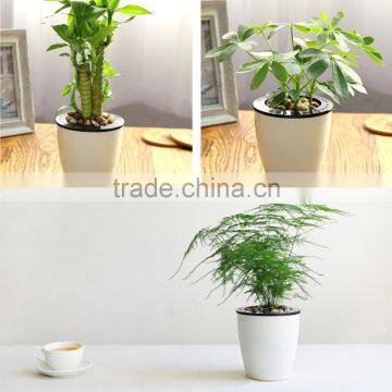 Cheap Colorful Self Watering Flower Pot photo-2