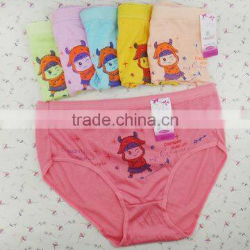 Cute Printed High Waist Women Mom Underwear Fashion Wholesale Stock Mom Panties photo-2