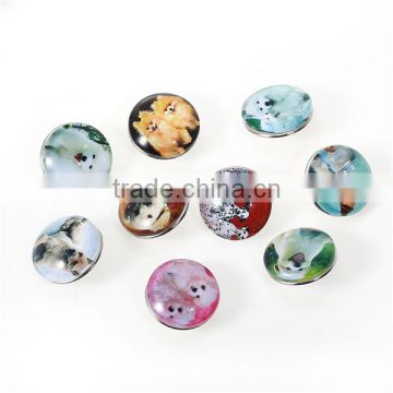 18mm Glass Fit Snap Button Bracelets Round Silver Tone At Random Dog Pattern