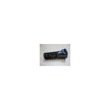 42CrMo Cutting Edge high-grade alloy steel 10.9 Plow Bolts and Nuts