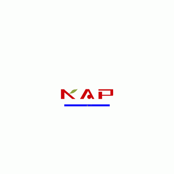 Wenzhou Kingdee Art Paper Co., Ltd.