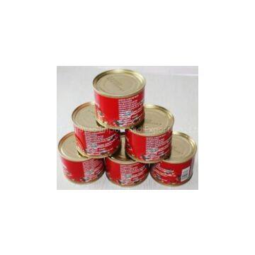 Canned Tomato Paste, Ketchup, Tomato Sauce