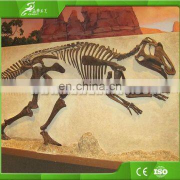 KAWAH Museum Quality Life-Size Realistic Dinosaur Skull For Sale photo-2