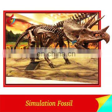 Museum Small Dinosaur Skeleton For Sale