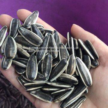 Inner Mongolia Sunflower Seeds